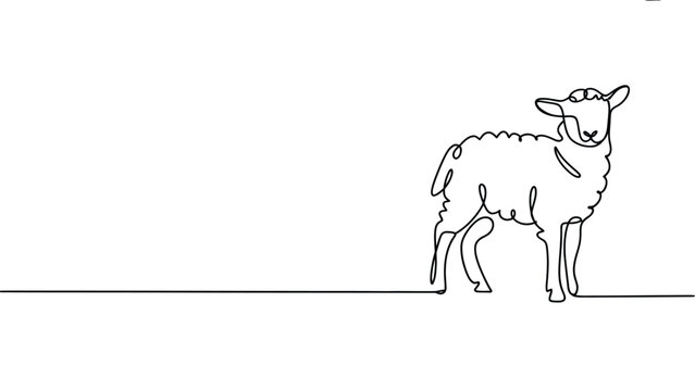 continuous one line drawing of sheep farm animal minimalist livestock vector illustration with elegant single stroke outline design isolated background