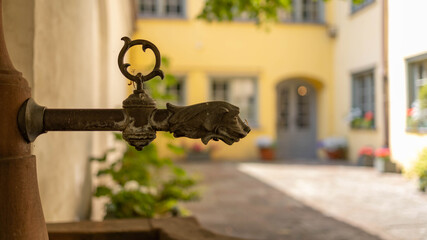 A dog-head-shaped water pump in the summer in the rich burgher courtyard house in Gdańsk, Poland © Matt A. Hawk