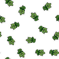 Fototapeta premium leaf green grape vector seamless pattern leaf green grape sign illustration