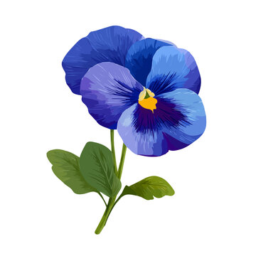 Pansy Flower, presented as a modern flat 2D vector icon graphic on a white background