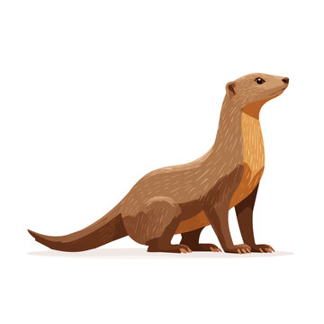 Mongoose, 2D flat vector illustration in icon style, isolated on a white background