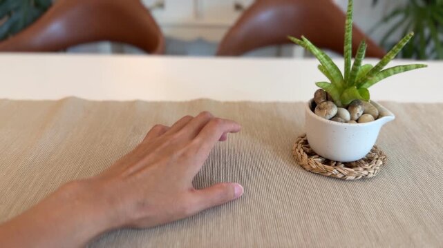 Minimalist indoor table setting with a human hand reaching near a potted succulent.
