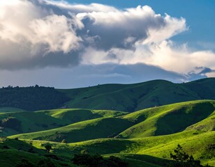 Obraz premium Verdant hills roll under dramatic clouds, bathed in light