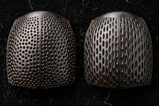 Extreme close up of two sitophilus beetle pronotums side by side showing round versus oval punctures