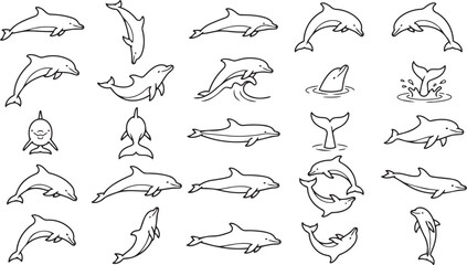 Fototapeta premium Dolphin Line Art Pose Set Ocean Marine Mammal Outline Vector Collection