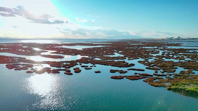 Wide aerial view of coastal wetland and salt marsh area with shallow water pools. Abstract natural pattern of marshland across calm lagoon water