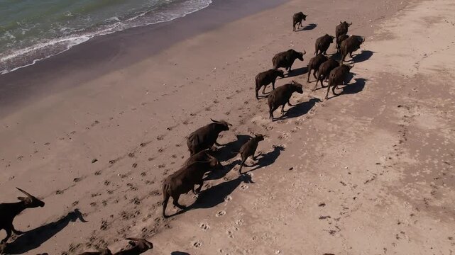wild nature indonesia sumba sumbawa travel beach