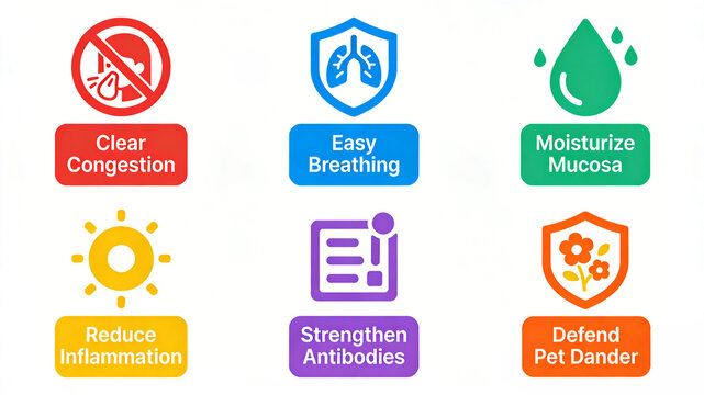 Six colorful respiratory care icons representing the concepts of clearing congestion, moisturizing mucus, anti-inflammatory strengthening, and allergy antigen defense.
