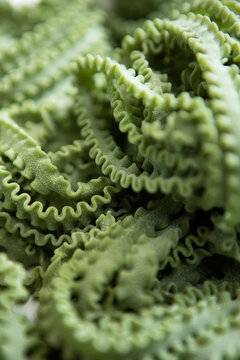 Homemade pasta made from durum wheat. The rough surface of the fresh paste. An indicator of high quality. The concept of Italian cuisine. Healthy food. The paste is green. Natural dyes. Close-up.