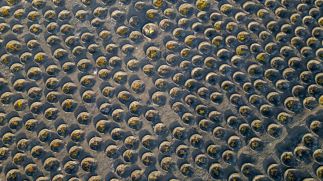 Aerial view of the unique volcanic vineyards of La Geria with vines planted in circular stone pits in the dark volcanic soil of Lanzarote, Canarias, Spain.
