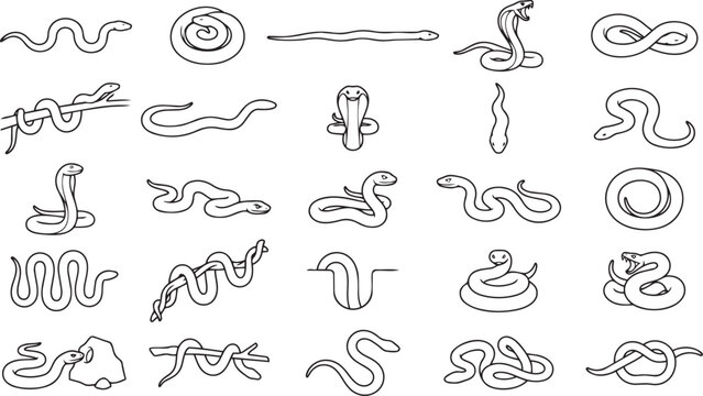 Snake Line Art Pose Set Reptile Outline Vector Collection