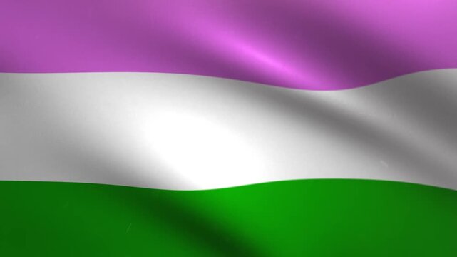 Genderqueer Pride Flag Waving Seamless Loop Background Animation
