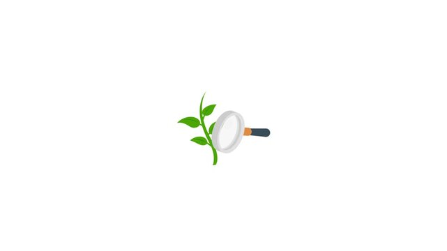 Plant Search Animation Icon