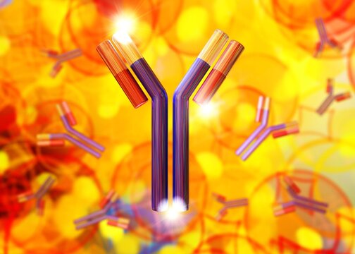 antibody, immunoglobulin, Y-shaped protein produced mainly by plasma cells,   3d rendering