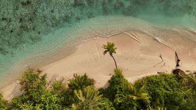 palm beach droneshot ocean clear water