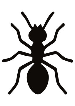Vector Cartoon Ant