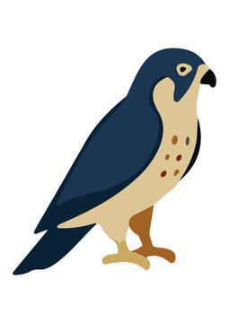 Vector Cartoon Bird