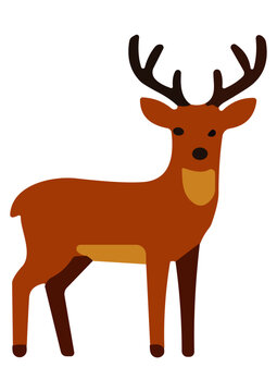 Vector Cartoon Deer