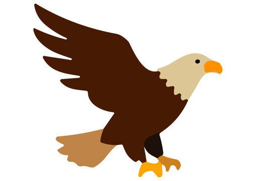 Vector Cartoon Hawk.ai
