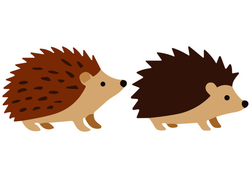 Vector Cartoon Hedgehog