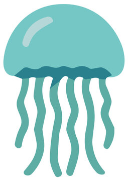 Vector Cartoon Jellyfish