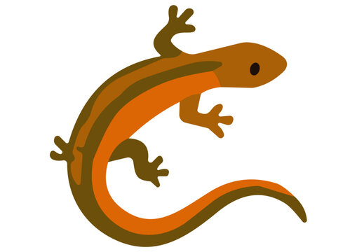 Vector Cartoon Lizard Gecko