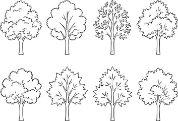 Hand-Drawn Tree Sketch Set Outline Tree Icons for Nature and seasonal design elements. © AHAMMED