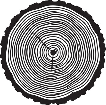 Tree log cross section graphic with markings and growth rings forestry environment woodland material structure crosscut illustration