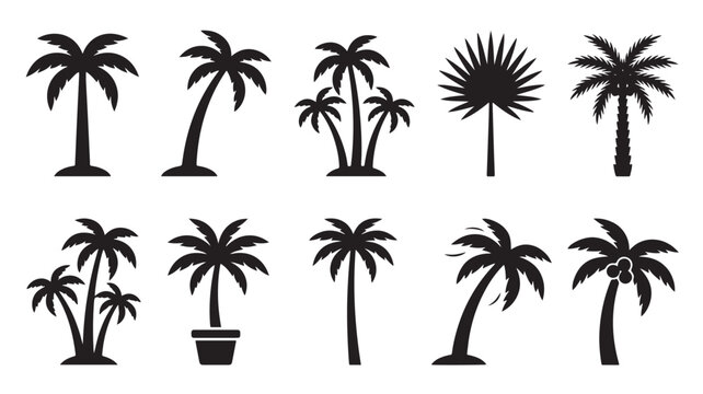 Tropical palm tree silhouettes, 10 black vector icons of exotic coconut and fan palms, summer vacation and beach resort graphic elements in EPS format