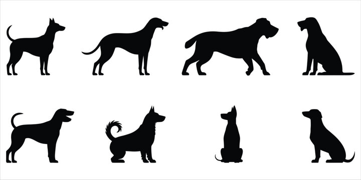 Collection of dog silhouettes in different breeds and poses on white background Keywords: dog, silhouette, canine, animal, pet, breed, pose