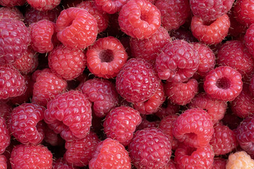 Fresh red raspberries texture background with ripe berries and natural summer harvest close up © Olha