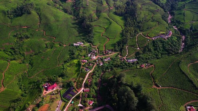 Scenic Aerial View of Small Road Passing Through Munnar Village with Green Mountain Landscape, Tea Plantations, Rural Homes, Misty Hills, Kerala Countryside and Peaceful Natural Scenery