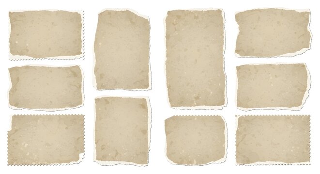 Collection of blank vintage paper scraps with torn edges paperwork stationery parchment isolated background document textured collection material