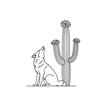 Howling coyote sitting beside blooming cactus in desert.