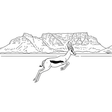 Elegant Springbok Antelope Leaping Over Mountainous Terrain.