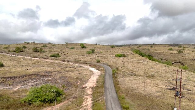 The dry season has set in, and the grass is beginning to dry up and yellow, yet it has been pouring all day, with heavy clouds looming over the Sumba savanna sky