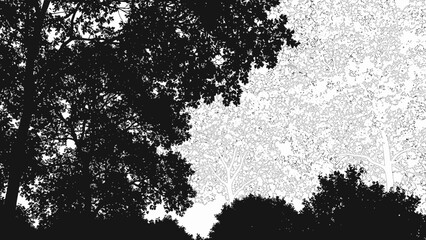 Fototapeta premium Trees stand tall against a speckled gray sky at dusk job site