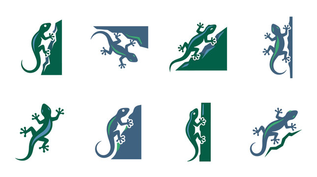 Collection of lizard silhouettes climbing.