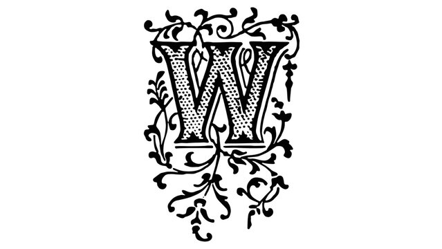 Ornate vintage letter W monogram with decorative floral flourishes, black antique typography design on white background.