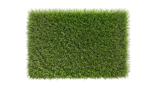 Isolated rectangular patch of lush green grass or artificial turf, healthy and vibrant texture.