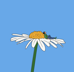 Obraz premium girl lying on the white flower 