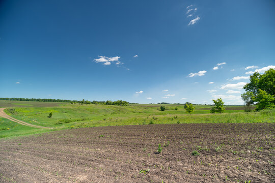 Sunny rural landscape with plowed field and distant green hills