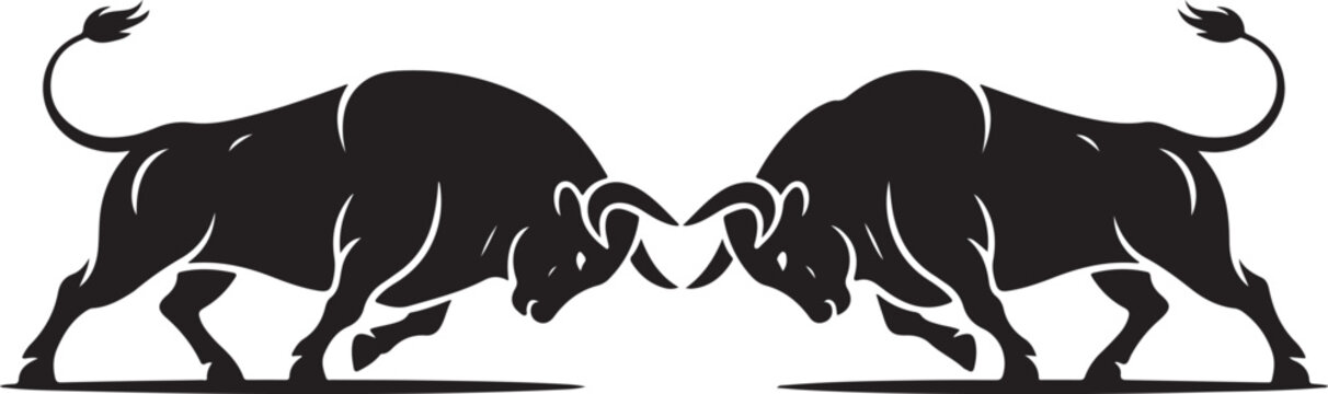 Two bulls fighting head to head