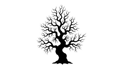 Silhouette of a Bare Oak Tree: An imposing bare oak tree stands in stark silhouette, its intricate network of branches reaching towards the sky, symbolizing resilience and the quiet beauty of winter. © Mf
