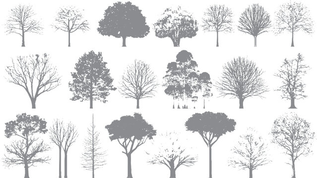 Green deciduous tree set with realistic natural appearance Architectural landscape trees isolated on white backdrop