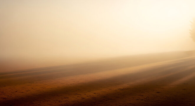 Golden sunrise light casting long shadows on a sandy beach in thick morning mist