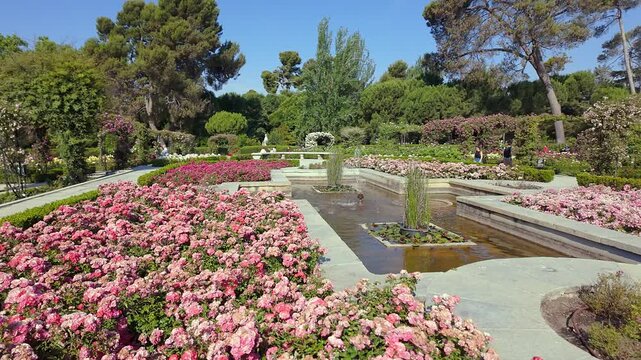 Small ornamental fountain surrounded by thousands of roses in Madrid's Retiro Park.