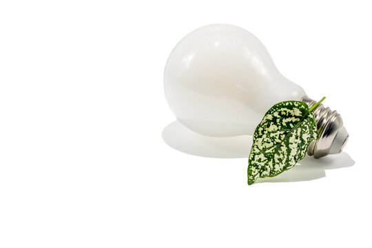 Modern LED light bulb with a green leaf isolated on a white background. Eco-friendly lighting, renewable energy, energy efficiency and sustainable living concept with copy space.