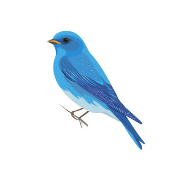 Modern flat 2D vector illustration of a Tweedia, minimal design style on a white background.