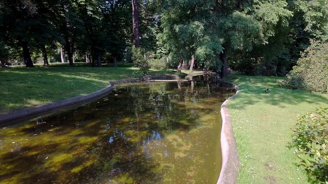 A small stream that runs through the immense Retiro Park in Madrid.